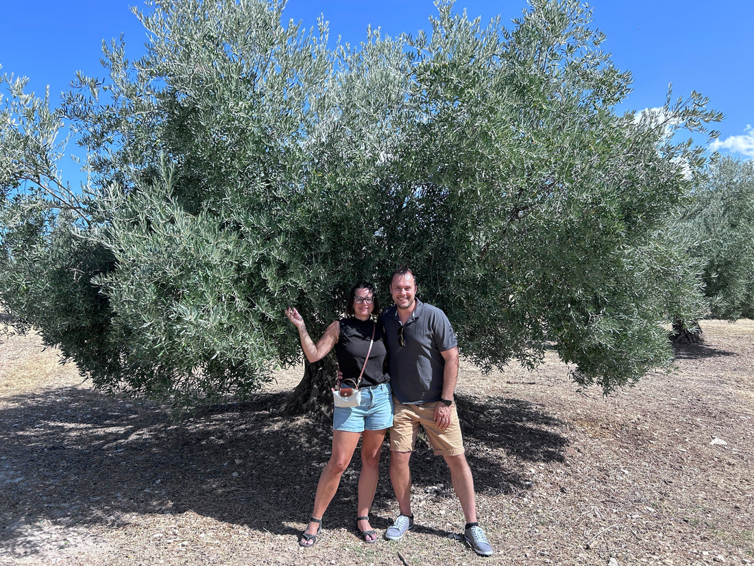 Malaga: Genuss, Begegnung und regionale Tradition